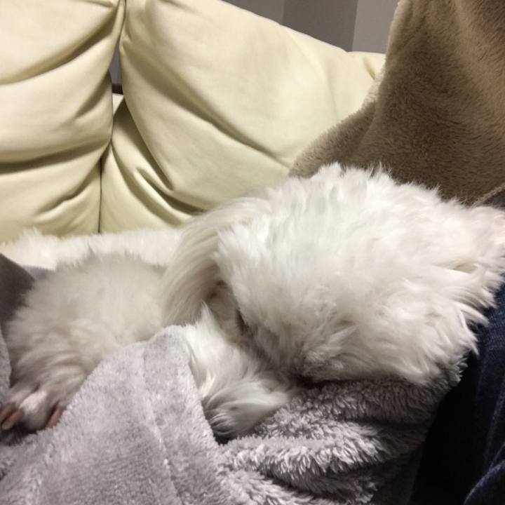 A7364509 7099 46e0 85e1 5fbaae4d7ad0 1515917925592