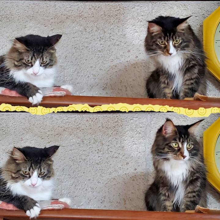 A7365675 0c80 49c7 8934 64d716de0b48 1704695846706