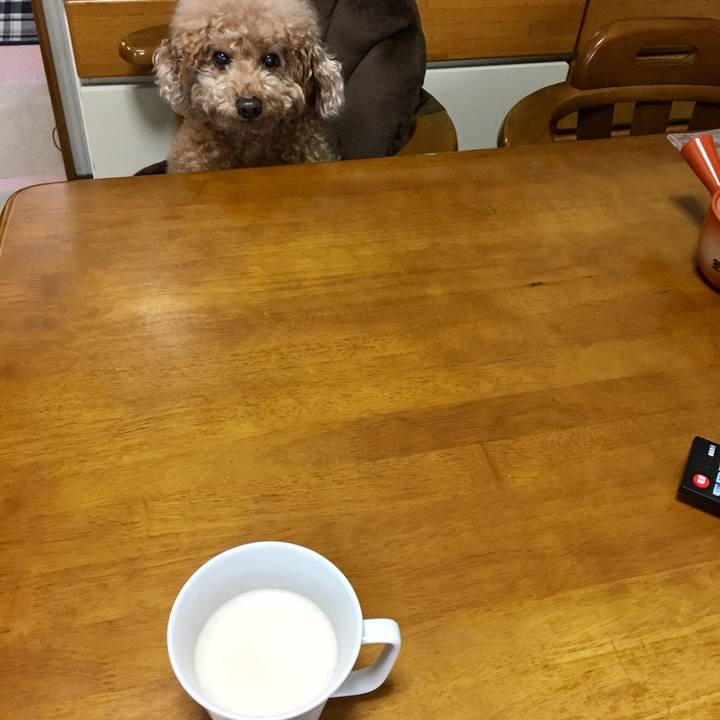 A7365729 0ab7 42f7 ab2a 9ae6bef25806 1515382273732