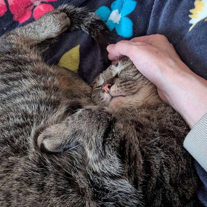 A73683b3 5dee 498e 9320 9dd057f1f0b6 1774332850132