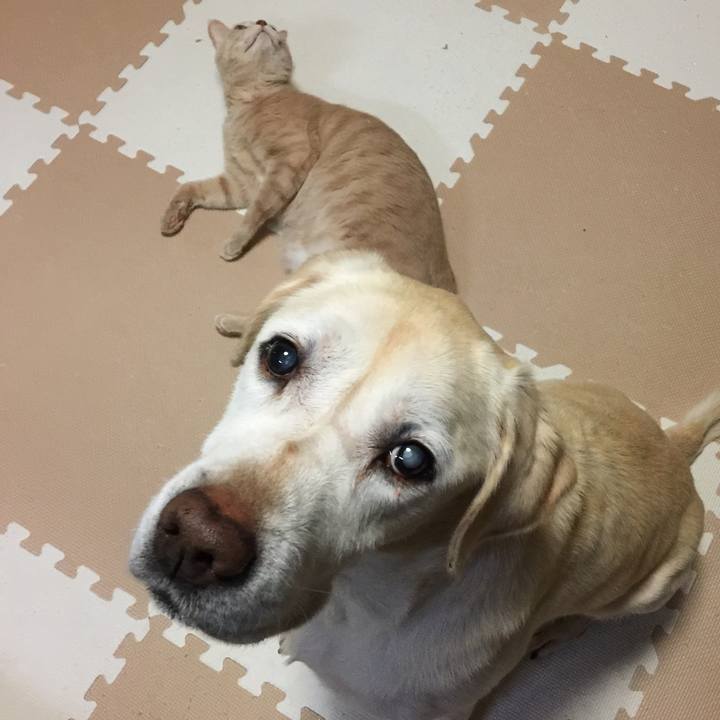 A736bcff 2001 4143 83de 32d199d18c36 1575750373227