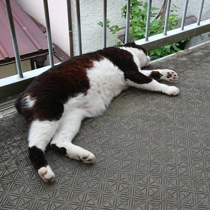 A736c17c 9952 43c5 8303 237c22b81616 1593247588325