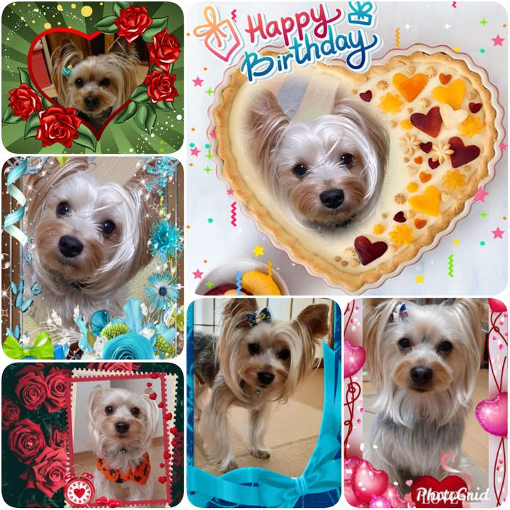 A736d2fd 7b97 4256 b2e2 2bc76f705db0 1583015122445