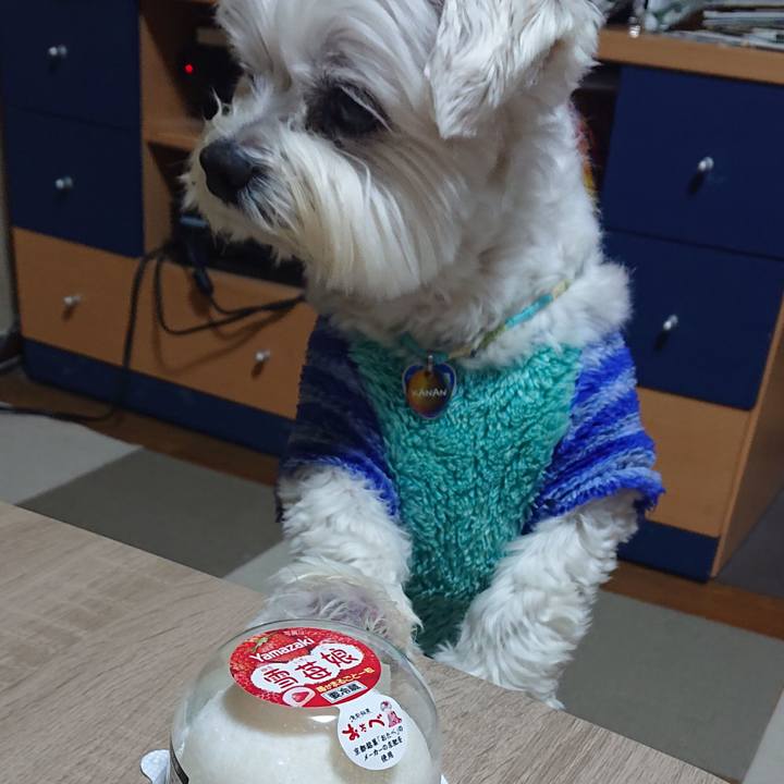 A7371544 8dc7 4806 9d4f 73ba2139b3d1 1642767034990