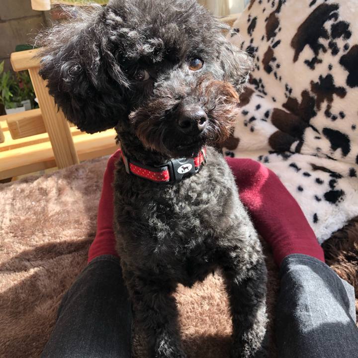 A73731bc 989e 4aab 811d db078b1bb41a 1614386090316