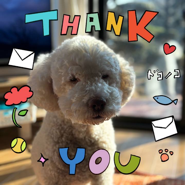 A7379a23 93ff 4f24 84f8 935f89f82066 1715045938764