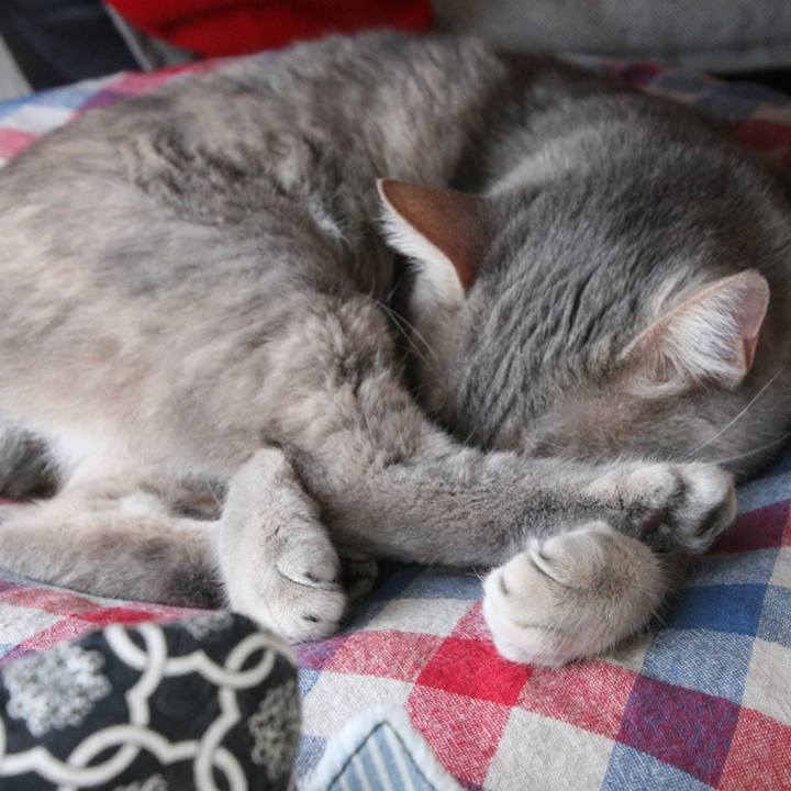 A737a3ad 6733 423b a8d7 41b7e1e0abb0 1555736768442