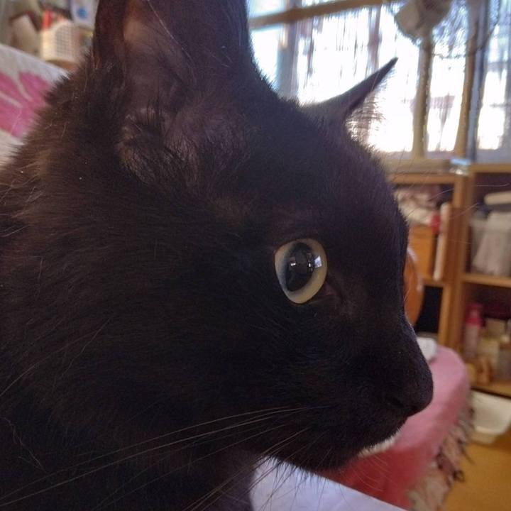 A737c2dc e1bb 445f b168 eeb3936fa8d9 1689979450348