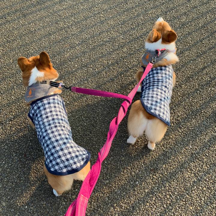 A737e188 d136 4b69 9ad9 d21eb2126d4c 1564437765144