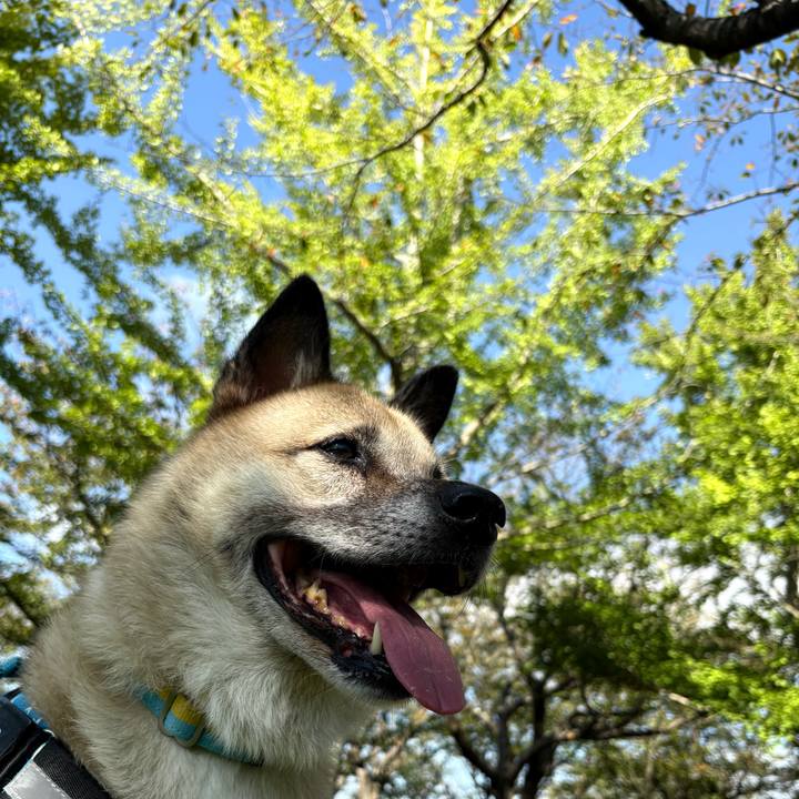 A7380fa9 f467 4ee9 a04f f553d9f4a0f5 1760265165896