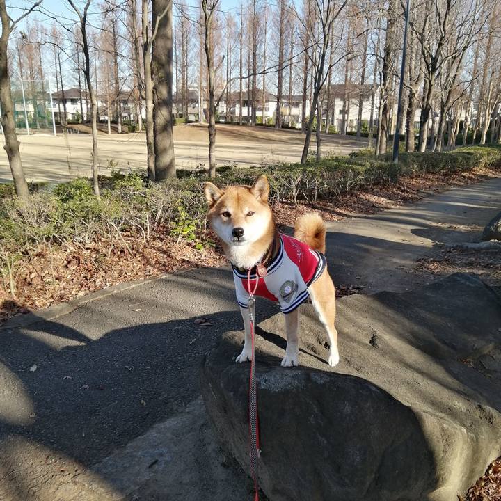 A7382341 21b4 415b 9e39 941e841e17dd 1608252904167