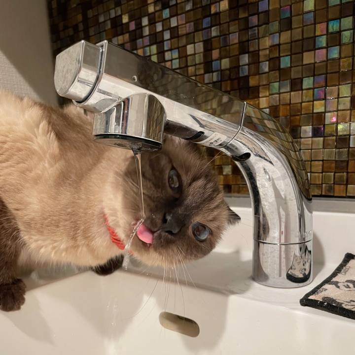 A73862a1 a765 433c 9c21 786ca7679b4f 1756336672402