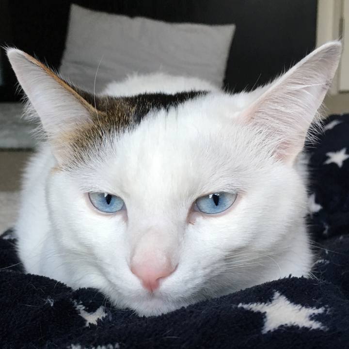 A738db41 97f5 4ec4 8743 217b9697708e 1518874014041