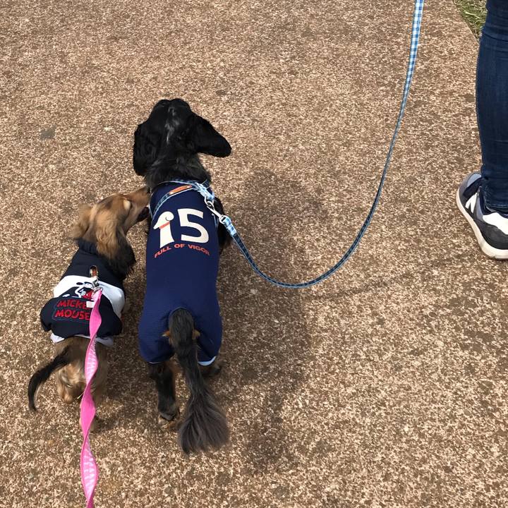 A7392166 a3b8 4fdc 8366 63dcc78c17ad 1614926550302