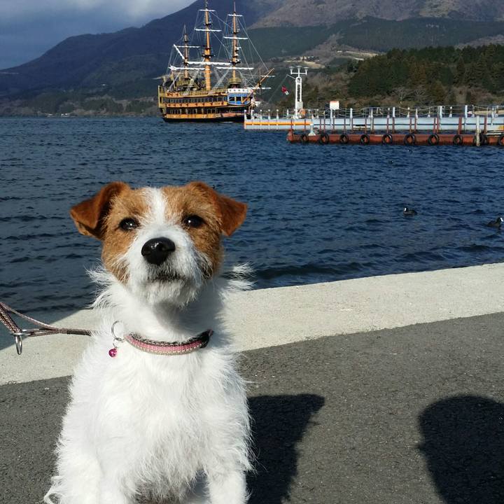 A7393c43 3f23 409f b8f5 0e2115b056bc 1513434554324