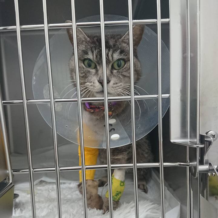 A7394048 0bec 426d 9246 0ab450d68945 1585904390691