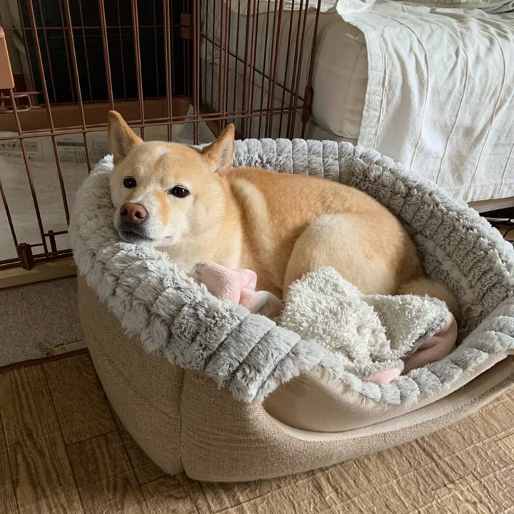 A73941cc 8919 4272 be30 ce18c481e967 1653607376405