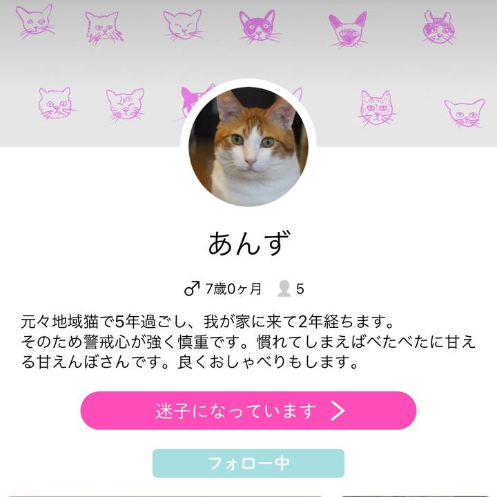 A739431b 18b8 471e 9687 5e2d70e91762 1510929021908