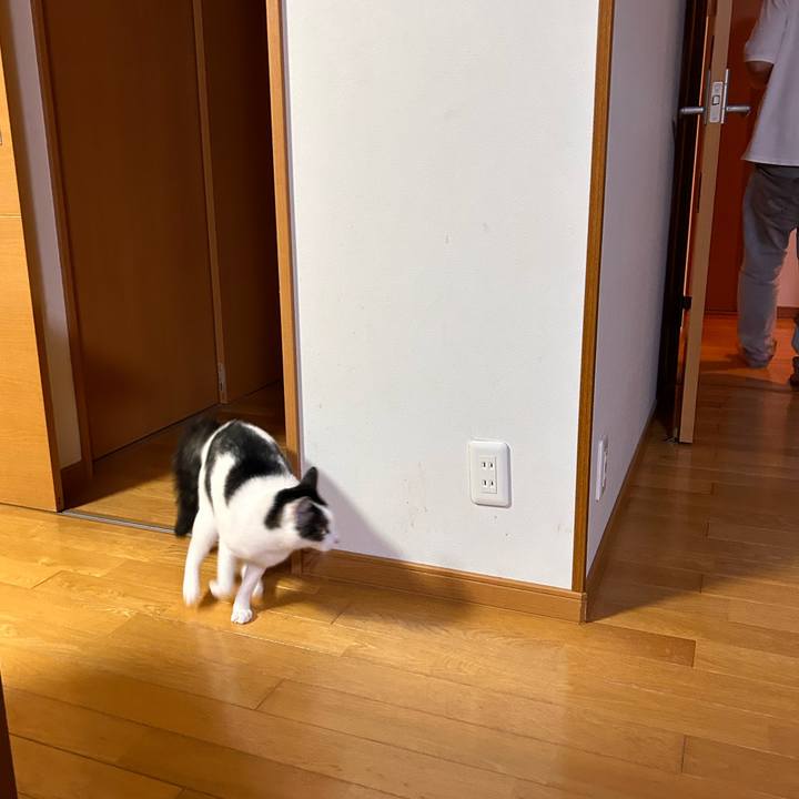 A7395658 71b7 4ef2 89d4 750098a9b6ee 1719316705140