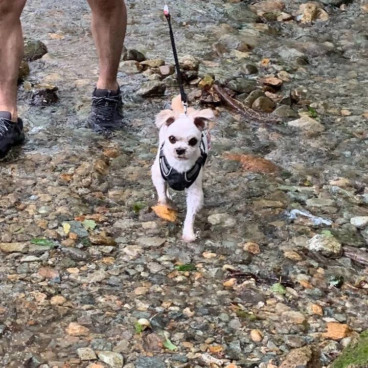 A739cd45 d2ba 4929 b104 2159513795e3 1564272098890