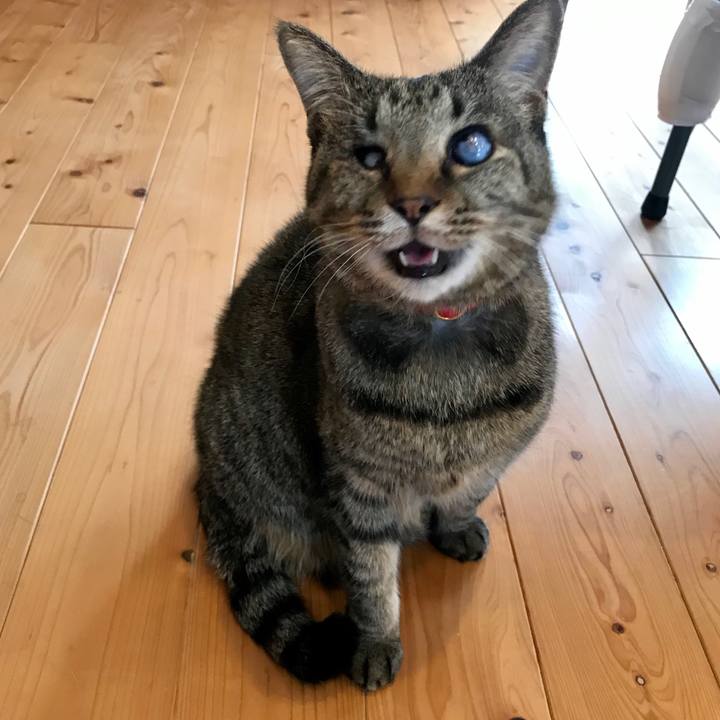 A739d91d e8f0 42d3 859a 979448029156 1582702351271