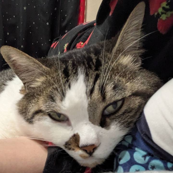 A73a0319 fd39 4cca 9af0 259b60c85734 1747278547221