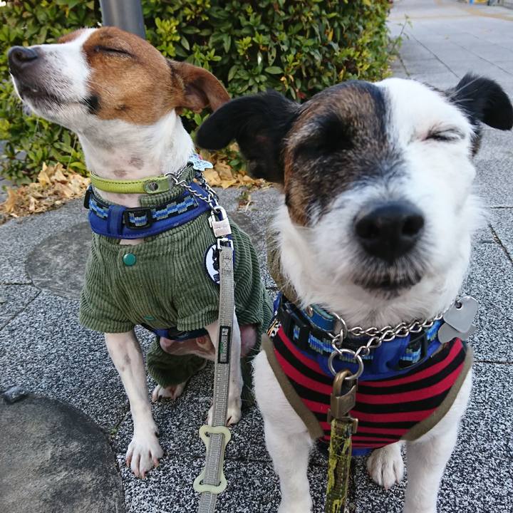 A73a121f daeb 4cb6 a0fe 8072fff0076e 1609975132861