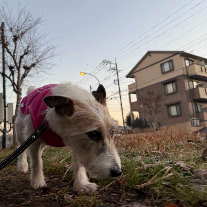 A73a14ed ca52 4b83 a6c7 0c8fb0089ac2 1767080797575