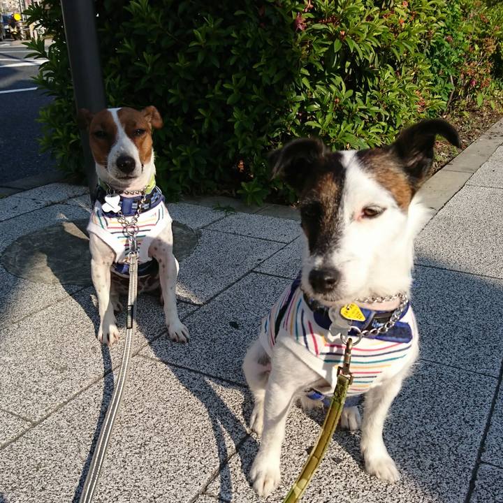 A73a1a0e 0831 401a a0d6 316be8d8f180 1558907653193