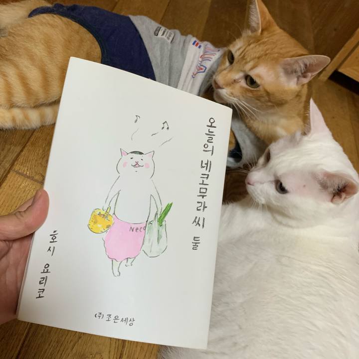 A73a2897 36b8 4bef 8ec0 83a335514b6a 1626773499027