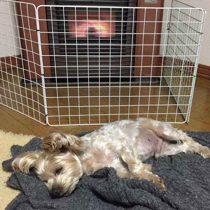 A73a2b03 0467 48c9 9c4f 4637452e624f 1547109087100