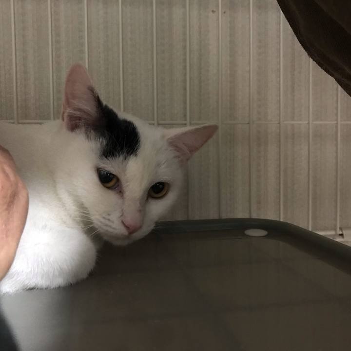 A73a4186 ba5c 455e 868b 52436fcbd714 1543411533546