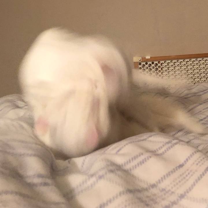 A73a4248 83d3 4800 a85c 4d9a8585f423 1561115693486