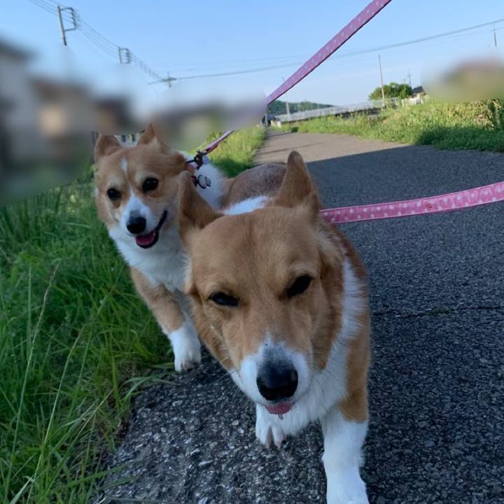 A73a5d7a bc13 4ef0 ade7 c45376e4bf79 1618958678584