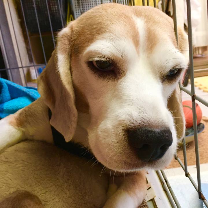 A73a9ca1 2057 4e6b b02b d3c6529c698e 1573702188006