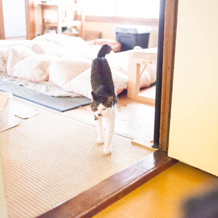 A73ac738 d5ad 4b6b aa19 852ef67a79fa 1550971856360