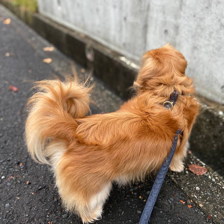 A73b111f 3d00 486f 8fb8 2598ae3e2feb 1574808110486