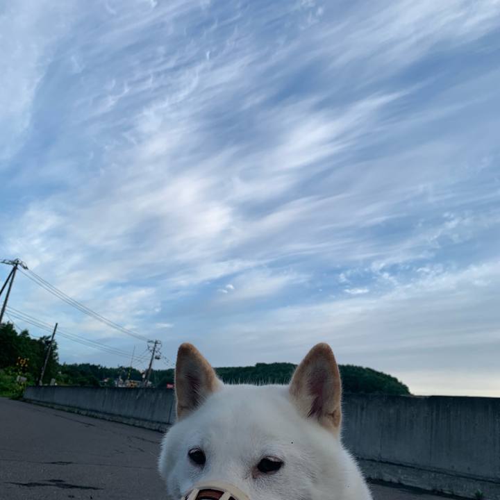 A73b7bb7 b194 4ca8 be61 95e44a0ee7c7 1566337399848