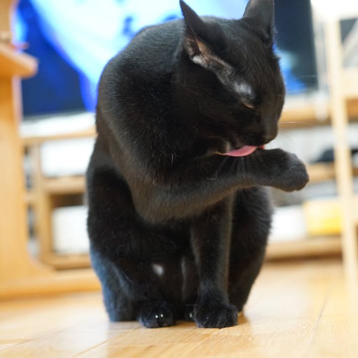 A73b8099 5db0 4625 8e38 c1ac87cb4714 1557457956808