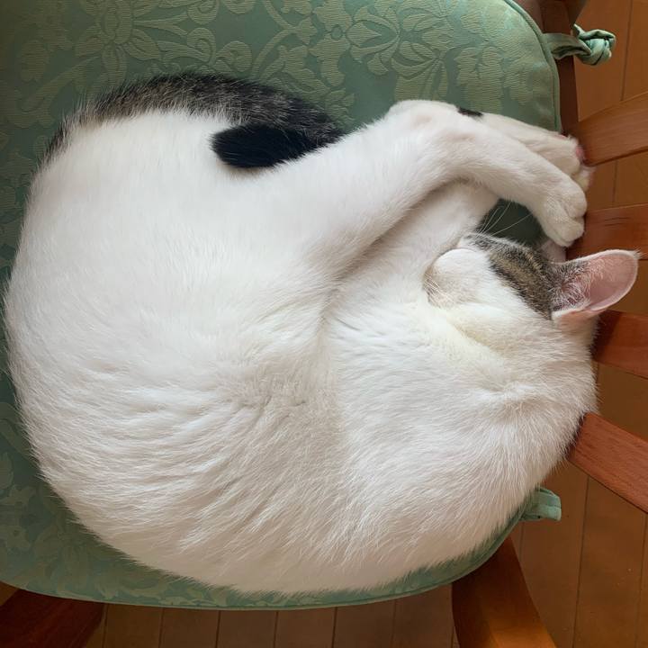 A73b8fdb a97d 4b2e 800c d0720d437d61 1636111894664