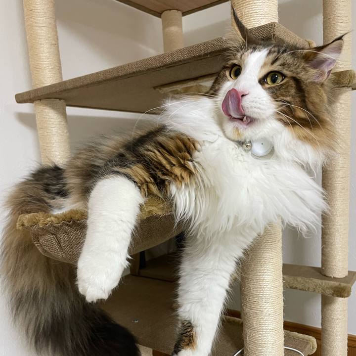 A73b98ff db7c 4c32 b4d5 32c266b2ea11 1648239372411