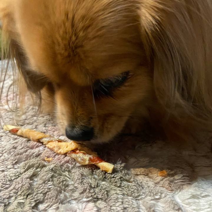 A73bf1e2 e056 405b a5a2 df8287674bb6 1643234356539