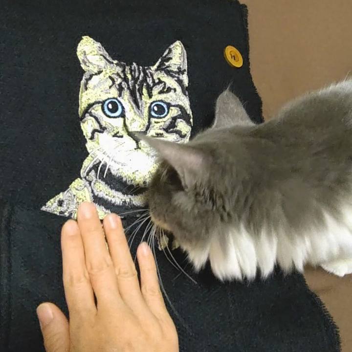 A73bfcd8 014c 4ddf bb6f b1fbe8d9871e 1574376168952