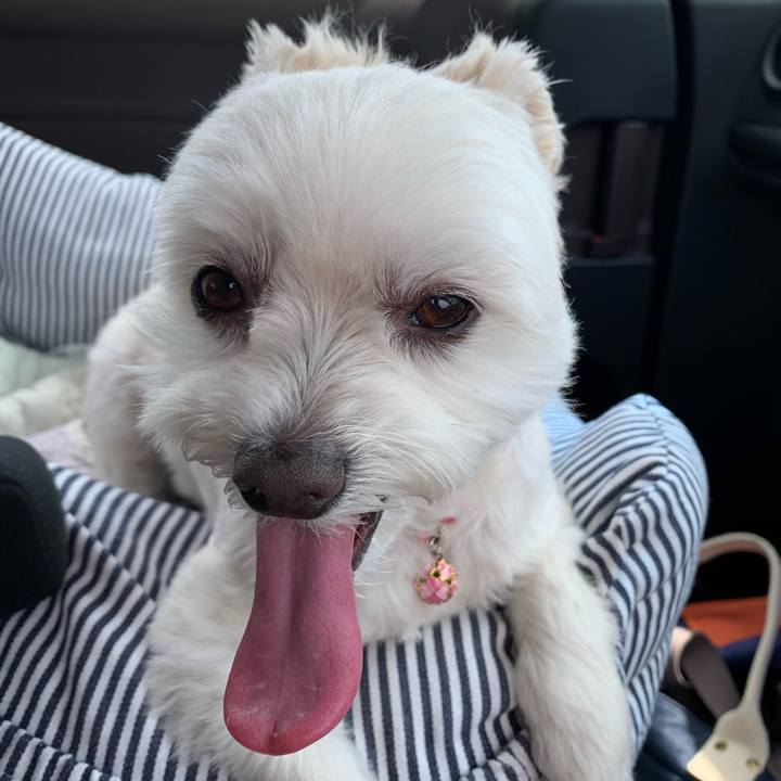 A73c2cbb a141 4cd6 a935 8c34564fa86d 1619149043675