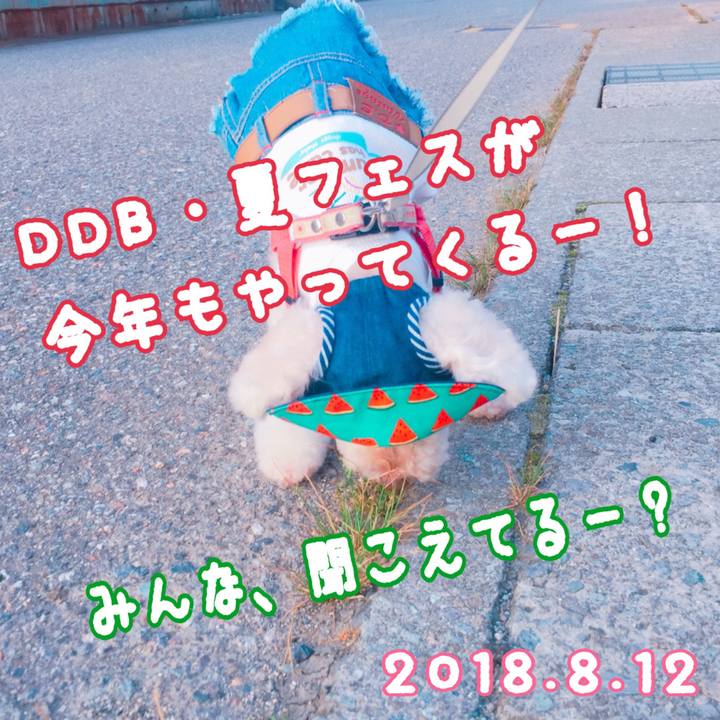 A73c304f daed 45a5 813f 35efebea1e48 1532752589825