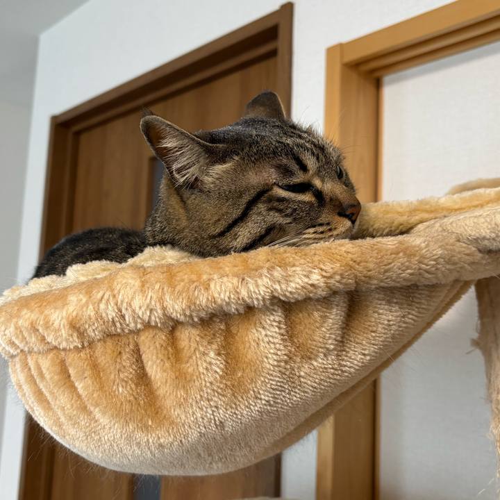 A73c3b22 bd7a 40a7 8905 d4b148ee90f1 1772502340716