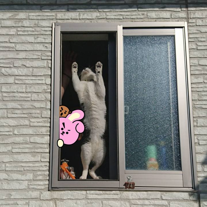 A73c7a07 4171 48c7 8b99 cbedc5c0ec52 1519253317800