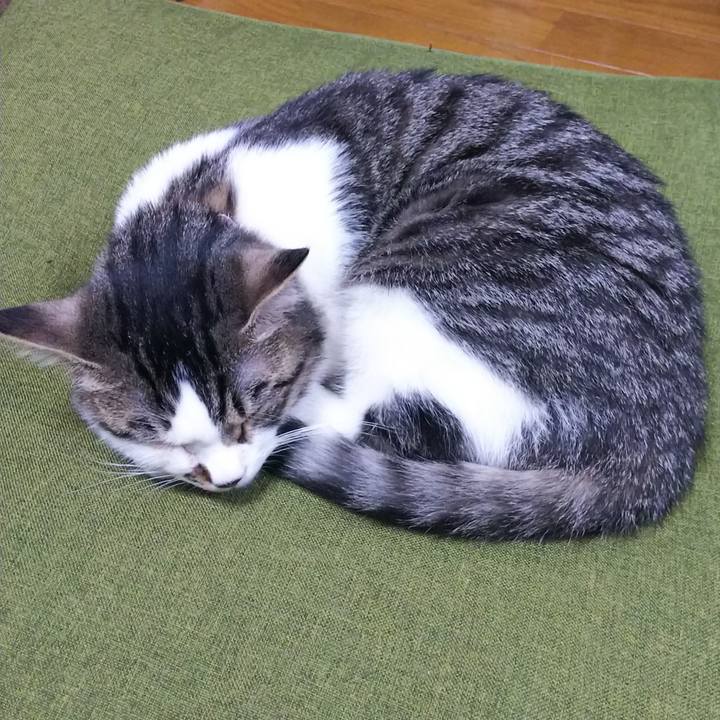 A73c8c34 e25d 4895 97cd fde1b81d7cbc 1614686607010