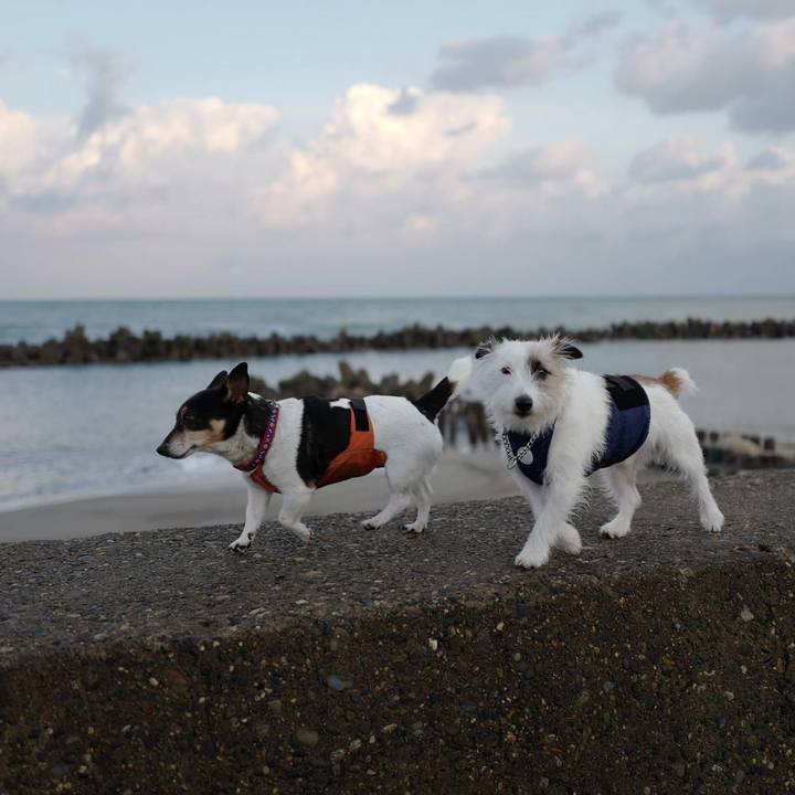 A73c90f1 fa07 43f9 b758 d6cf7a1caca2 1671764391093