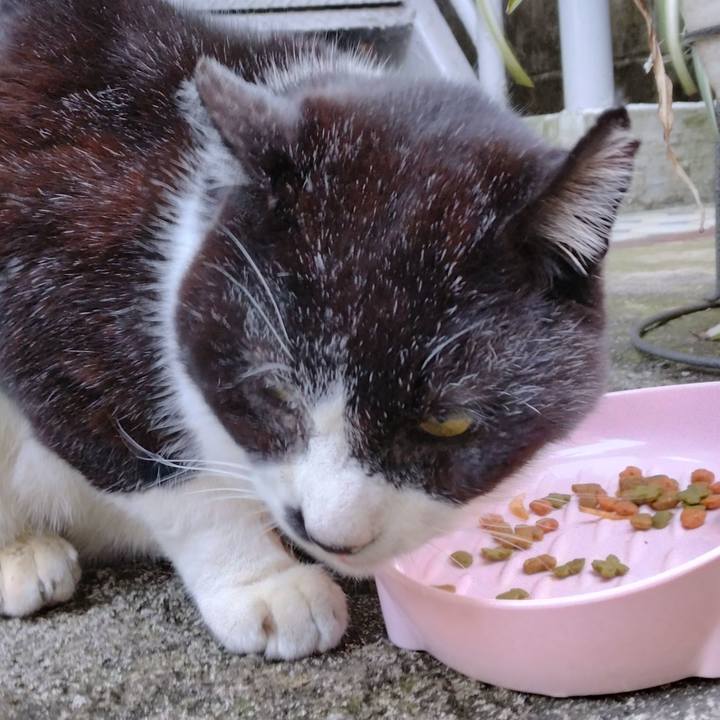 A73ca25a aace 4b8a 9aa7 bd096bbf9fb5 1709019669037